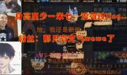 央视爆料宝哥视频,揭秘背后真相