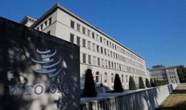 特朗普爆料世贸大厦视频,真相背后隐藏惊人秘密