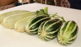 网红吃瓜网站免费入口,免费入口带你畅游娱乐圈风云