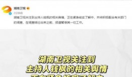 娱乐圈吃瓜运营模式,吃瓜运营模式背后的秘密与技巧