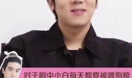 政委爆料女声唱歌视频,女声歌唱视频背后的故事与感动