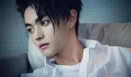 媒体爆料许凯视频下载网站,揭秘热门明星资源获取途径