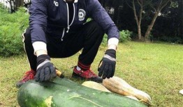 西安瓜最新爆料,揭秘背后惊人真相