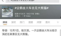 热点爆料话题大全最新,揭秘社会现象背后的真相