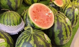 缅北视频每日爆料吃瓜,每日吃瓜爆料，揭秘缅北风云