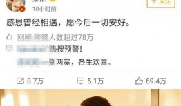 吃瓜娱乐圈综艺小说免费阅读,综艺小说免费阅读，揭秘娱乐圈幕后故事