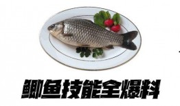 小鲫鱼爆料直播视频,幕后故事与幕后英雄