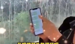 张兰爆料语音视频大全,揭秘真实事件背后的惊人内幕