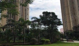 和平锦苑爆料视频,社区生活新视角