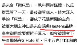 张兰爆料语音视频大全,揭秘真实事件背后的惊人内幕