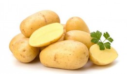 我的碧可在线观看土豆,土豆平台带你领略碧可魅力