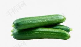 网红吃瓜网站免费入口,免费入口带你畅游娱乐圈风云