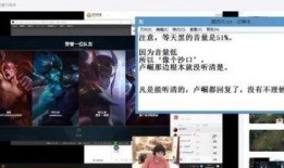 桃源剑阁爆料事件视频播放,一场惊心动魄的江湖风云