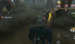 双枪爆料大王视频,视频内容深度解析