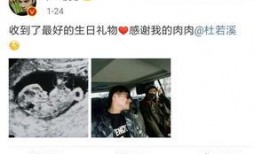 执行官女士爆料事件视频,揭秘事件背后真相