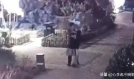 吃瓜黄世仁视频观看免费,免费观看背后的真相