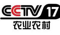 cctv8在线直播电视 观看,精彩剧集不间断，尽享视听盛宴