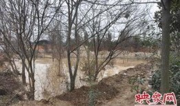 古隆中酒厂爆料视频播放,独家爆料视频带你领略传统酿造工艺魅力