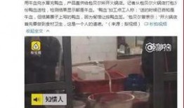黄磊爆料蟑螂事件视频,揭秘家中卫生隐患