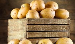 我的碧可在线观看土豆,土豆平台带你领略碧可魅力