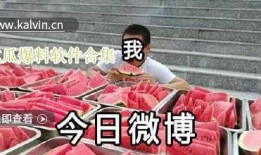 最新瓜爆料视频,最新爆料视频深度解析