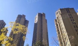 和平锦苑爆料视频,社区生活新视角