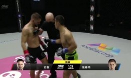 爆裂拳手在线观看,在线激战，热血沸腾的拳击传奇