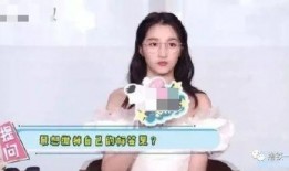 莎莉陪玩爆料视频大全集,视频大全集精彩瞬间回顾